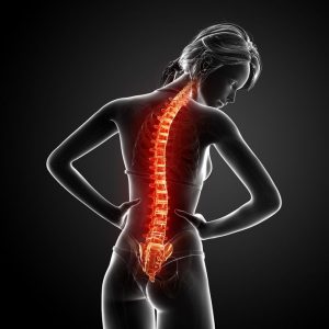 14 Pie hacia cabeza. Boca arriba y sentada.