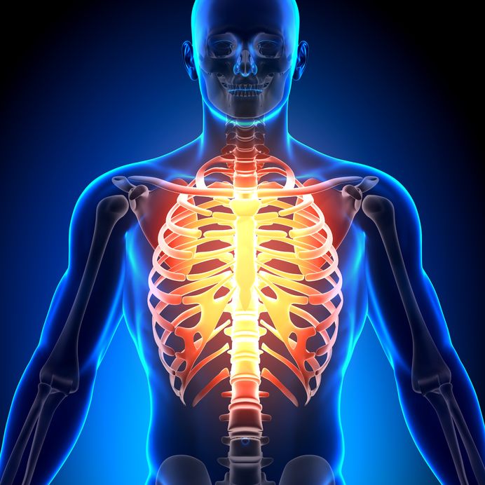 COSTILLAS - ESTERNÓN