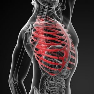 19. Despertar tórax para conectar todo el esqueleto.