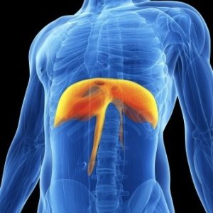 20. Liberar el diafragma para liberar la columna.