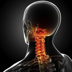 15. Conectar cabeza con pecho para liberar el cuello.