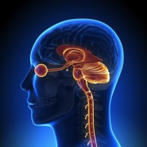 12. Relajar los ojos para relajar todo el cuerpo.