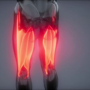 alargar isquiotibiales feldenkrais