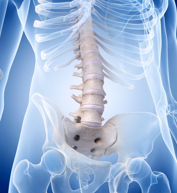 Taller Feldenkrais Online – Domingo 6 Marzo 10h a 13h