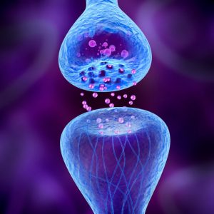 RADIO FELDENKRAIS 1974