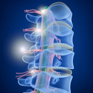 Taller en Audio: Elongar la columna y crear espacio entre las vertébras.