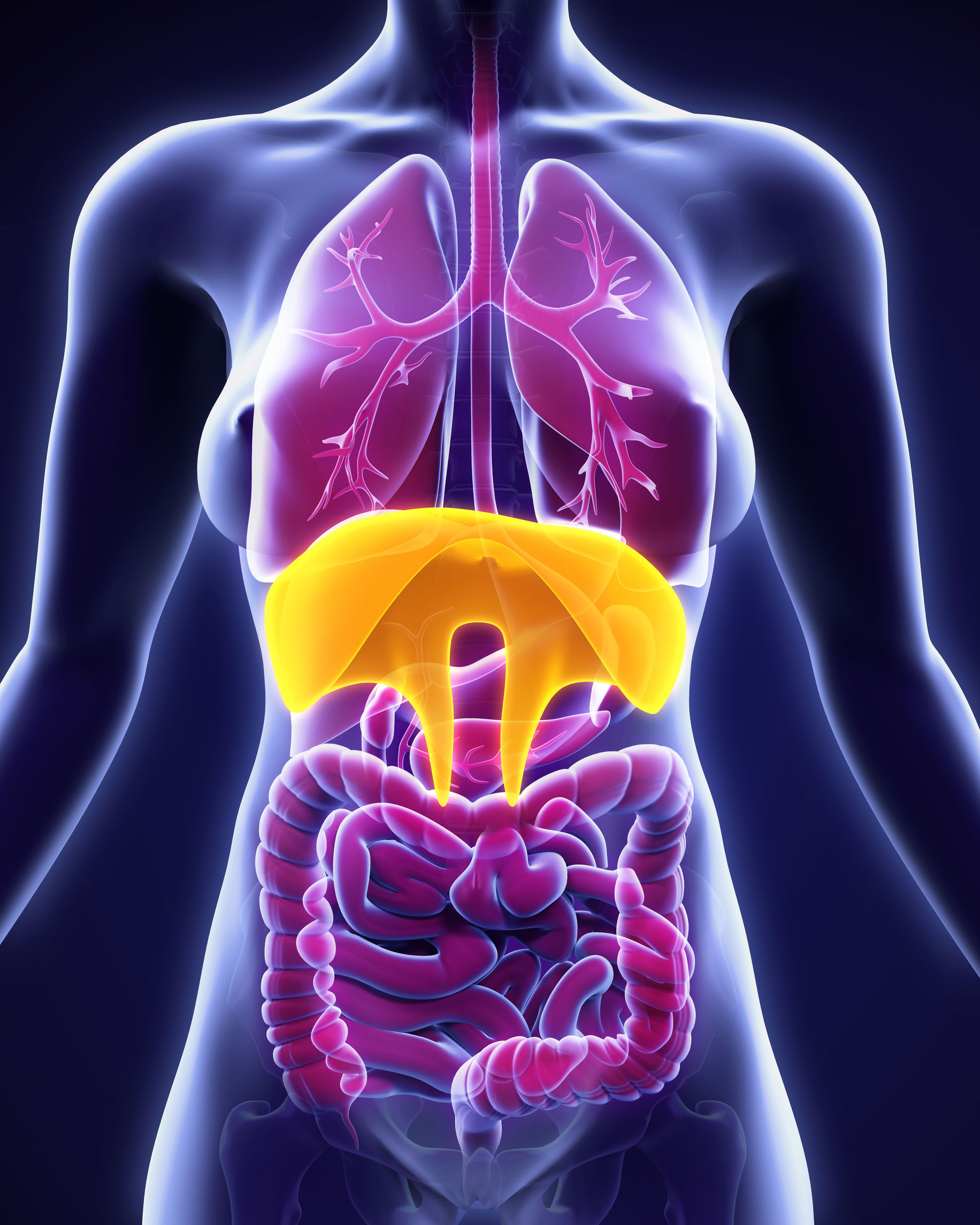 Respiración Feldenkrais