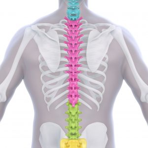 feldenkrais online clases y talleres