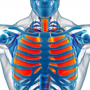 Liberar hombros feldenkrais