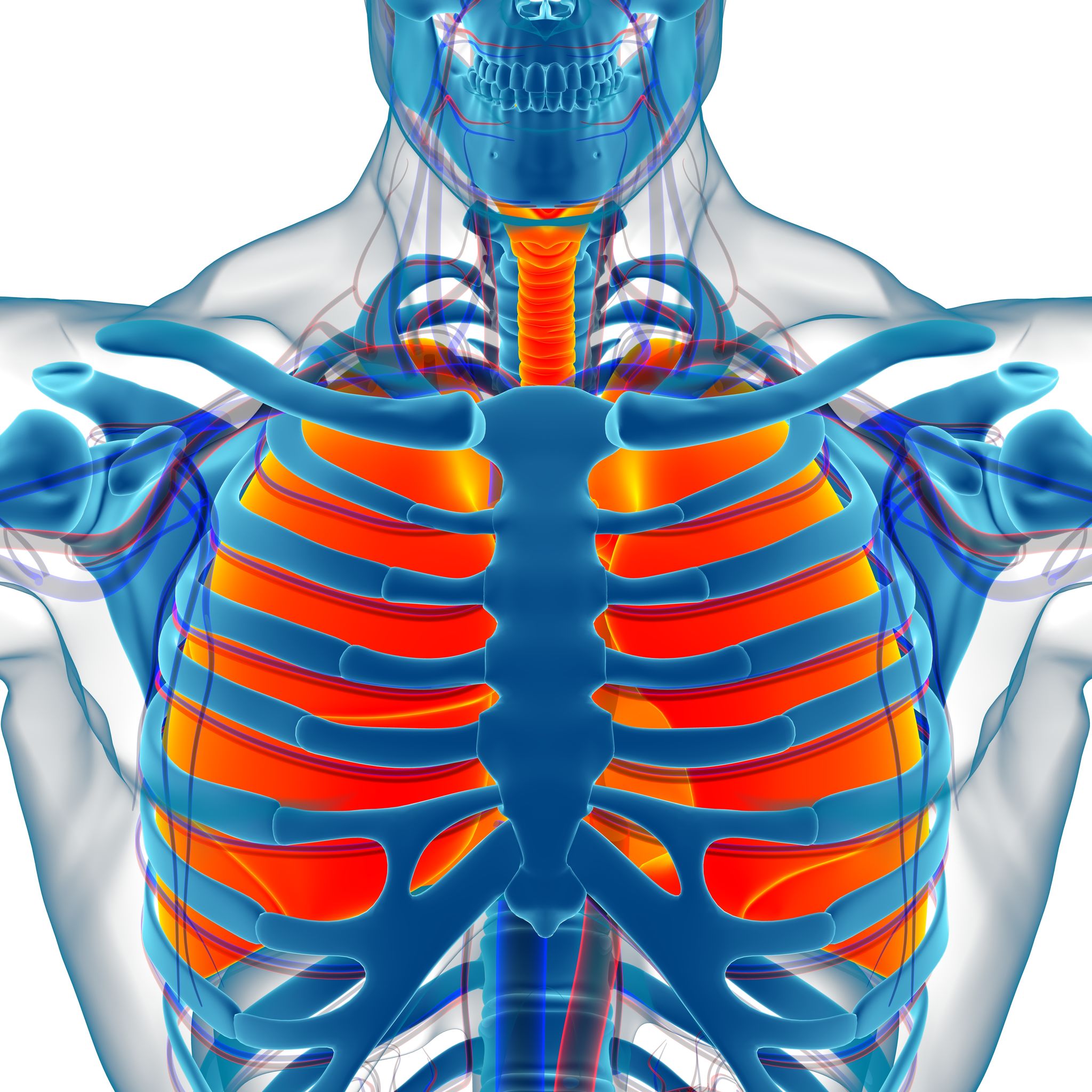 Liberar hombros feldenkrais