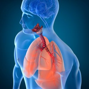 taller feldenkrais zoom