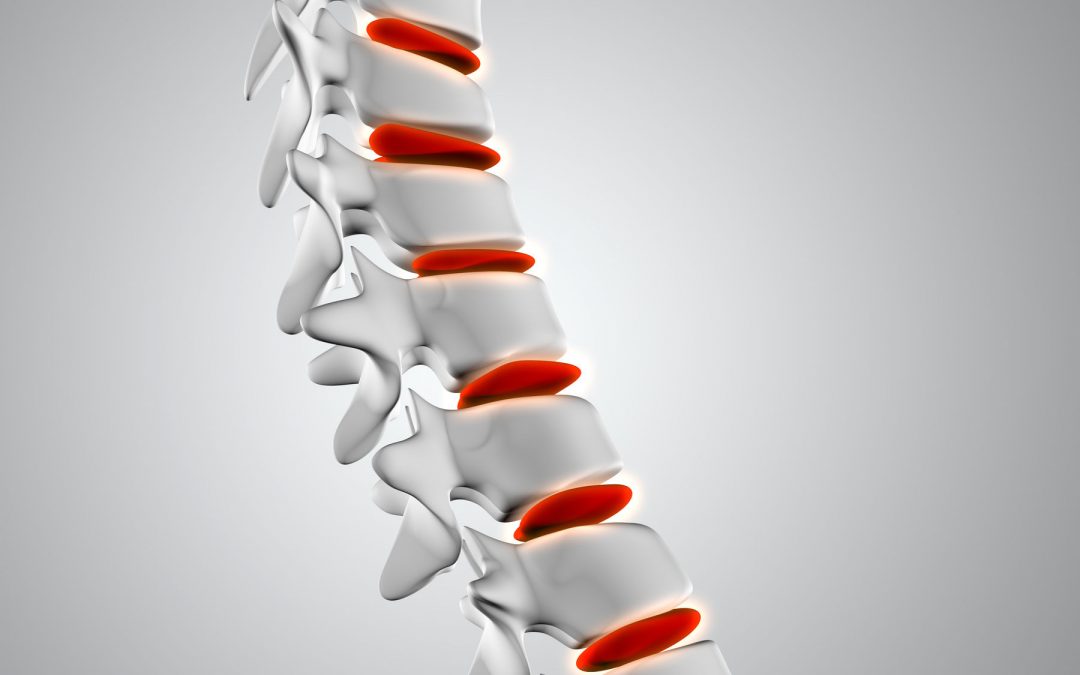 Taller Feldenkrais Zoom Domingo 9 Mayo 10h a 13h: «Despertar la fuerza y la liviandad de la columna»