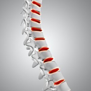 Taller feldenkrais online