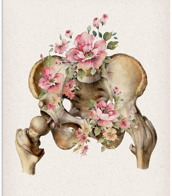 Taller en Audio descargable: «Pelvis y Caderas»