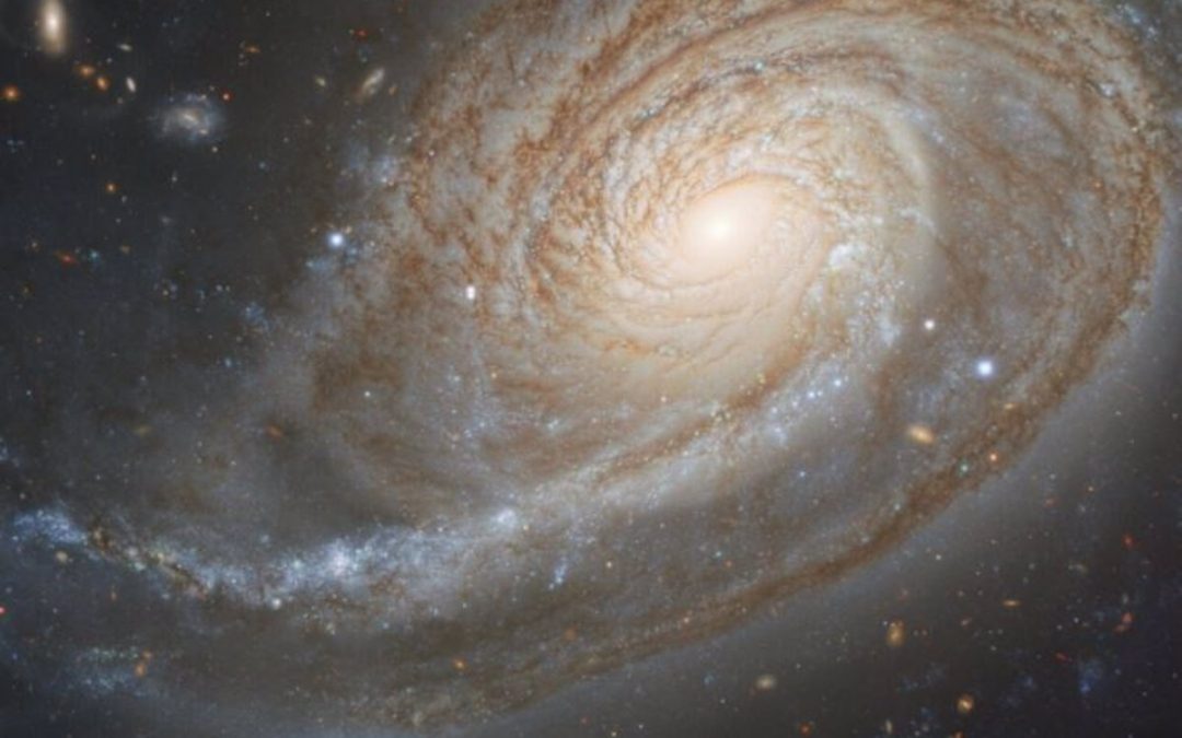 Taller en Audio: «Las espirales en el cuerpo humano»