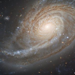 FELDENKRAIS ESPIRALES