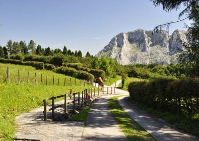 Feldenkrais y senderismo