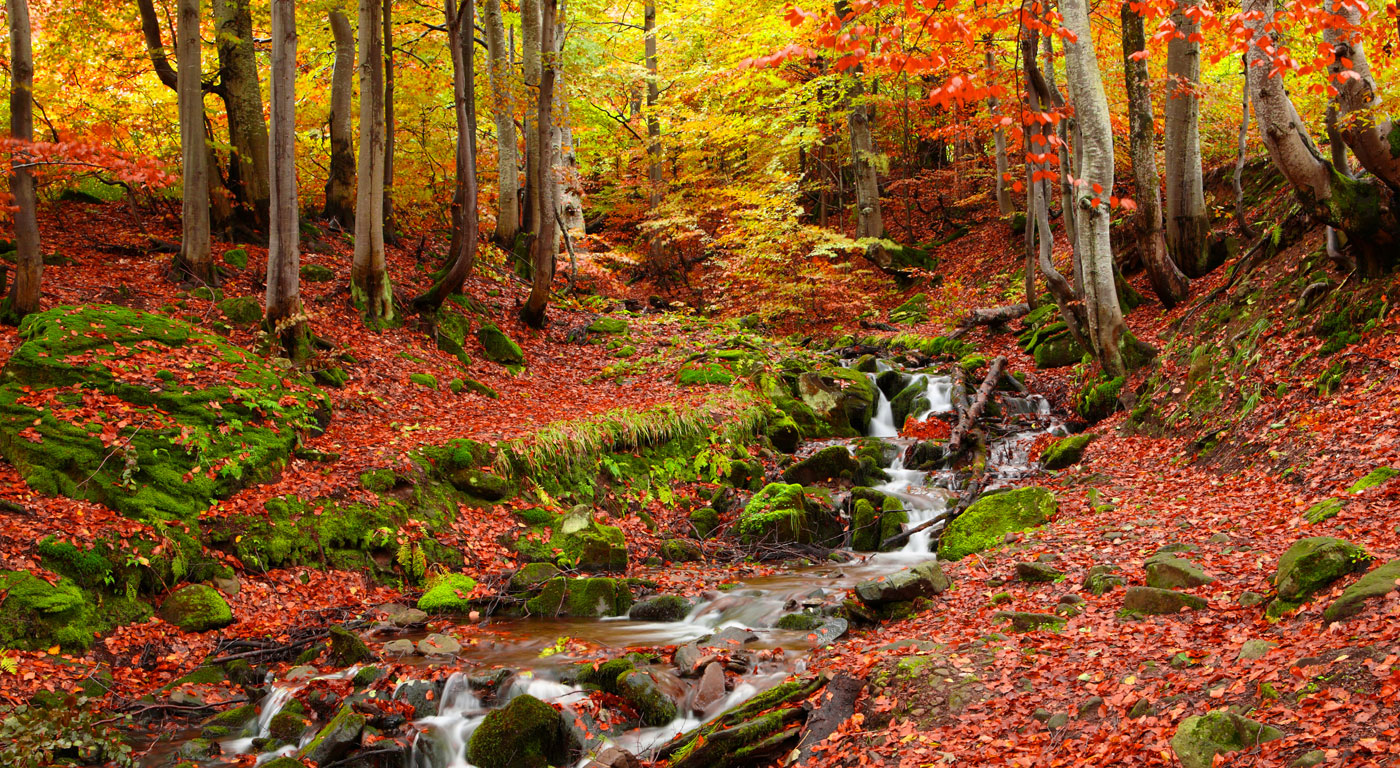 Retiro Feldenkrais Otoño Navarra