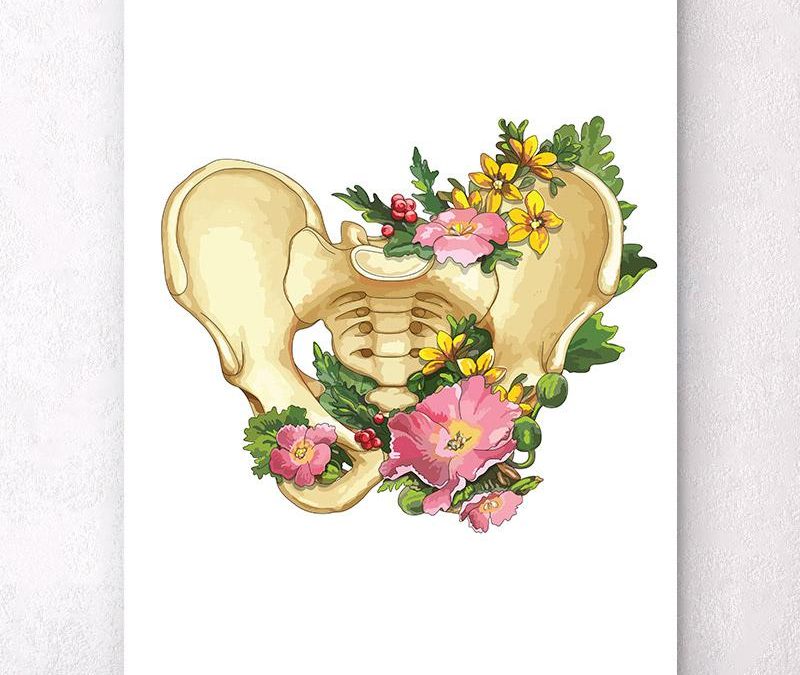 Taller en Audio «Suelo Pélvico»