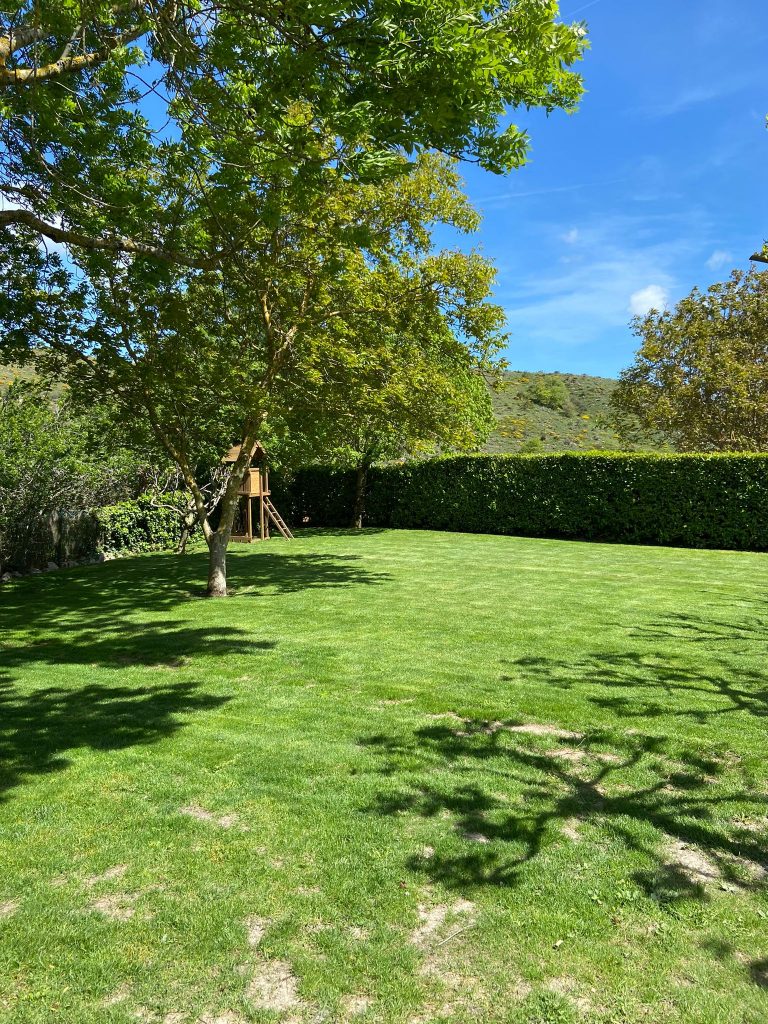 Feldenkrais en la naturaleza